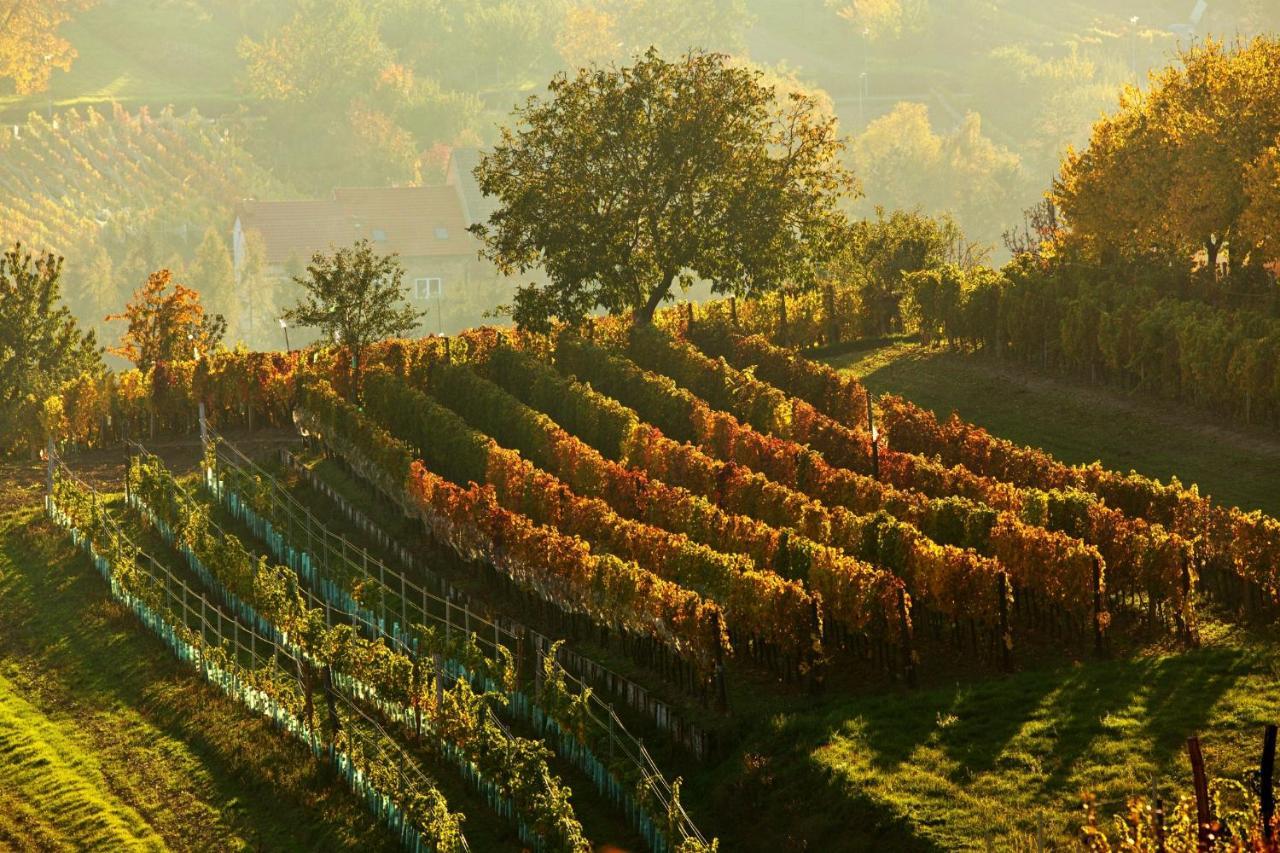 Vinoza - A Vinny Sklep V Moravskem Toskansku